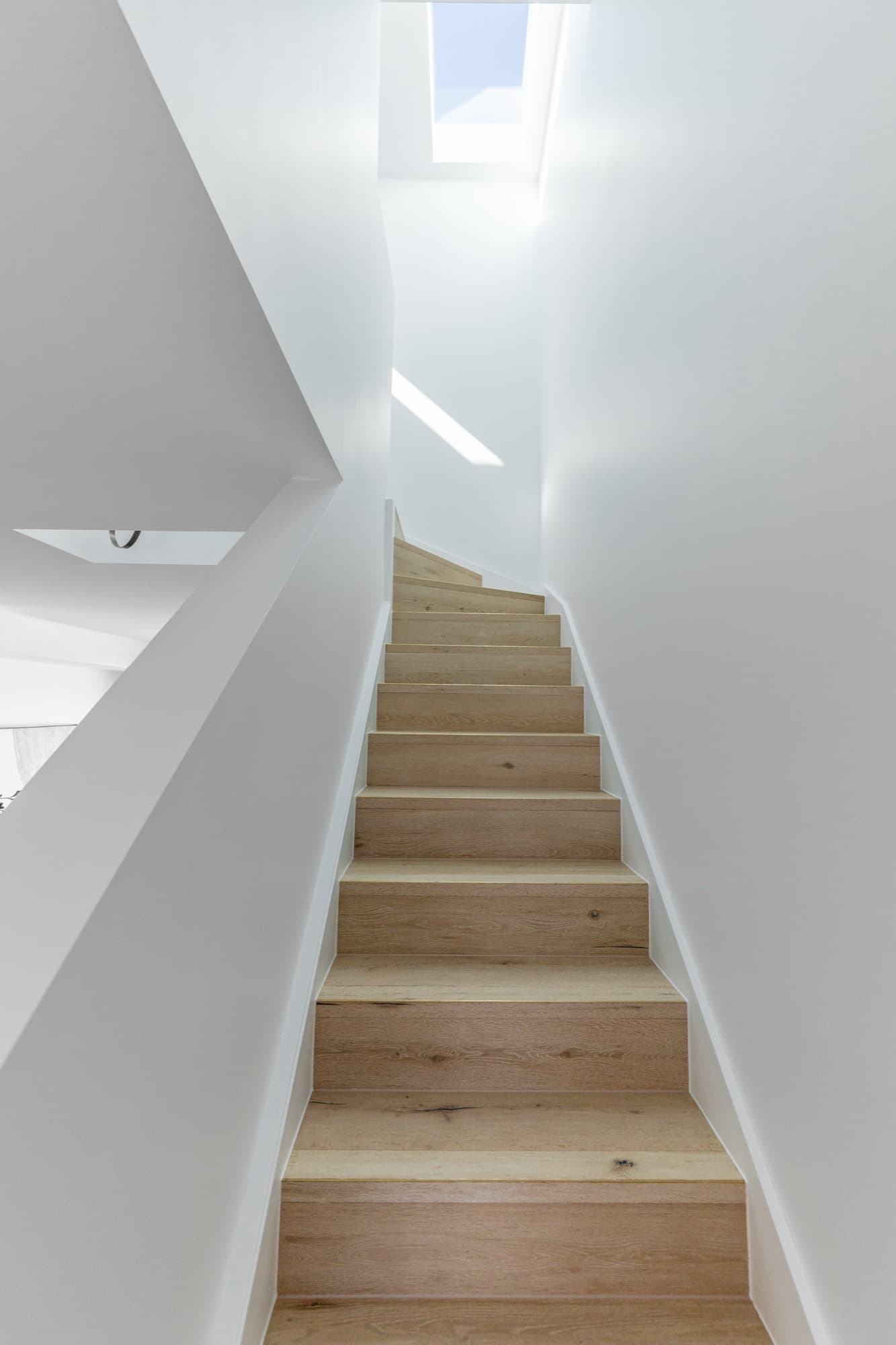 Balmain Terrace — photo 6